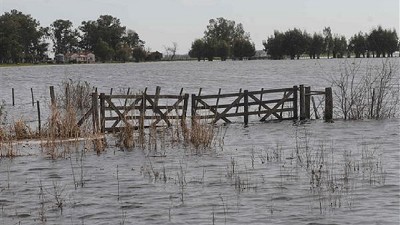 Concordia: no llueve y esperan que el agua baje algo en los próximos días