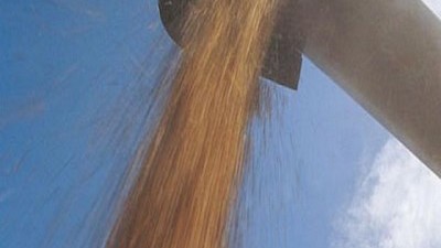 Sin novedades, los granos siguen deslizándose a la baja; por Dante Romano  