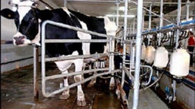 El sector lechero planteó lineamientos para el desarrollo de su actividad