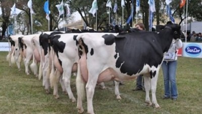 Anuncios para el sector lácteo