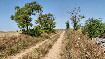 Clima: Calor y lluvias pobres, con eventuales chaparrones dispersos - Agrositio 