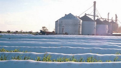 Prevén más granos en América del Sur