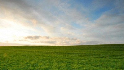 Importante mejora de rentabilidad agrícola bajo el nuevo escenario económico; por J. M. Garzón y F. Bullano