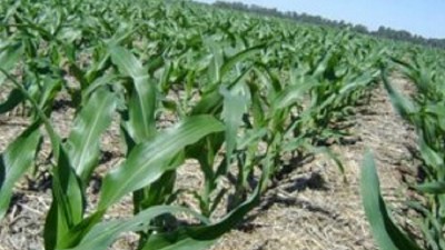 Los departamentos del sur de Córdoba sufren los efectos de El Niño