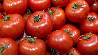 Vetanco y Dr. Bata presentan BV Science