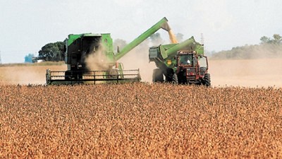 ¿Cambiará la tendencia en los precios de la soja?, por Manuel Alvarado Ledesma - Agrositio