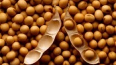 Quedan 10 millones de toneladas de soja sin vender y crece la bronca del Gobierno