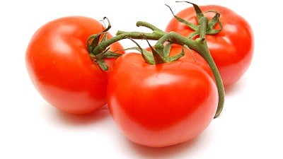 Producir con las semillas de la organización