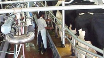 Comunicado de la Mesa Nacional de Productores de Leche