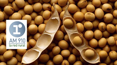 Radio: ¿Qué pasa que no se está vendiendo más Soja?
