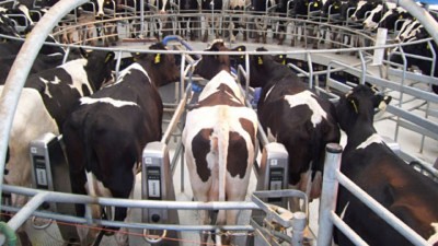 Habilitan financiamiento para el sector tambero de Córdoba