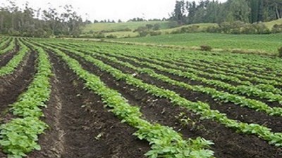Herramientas para aumentar la productividad agrícola