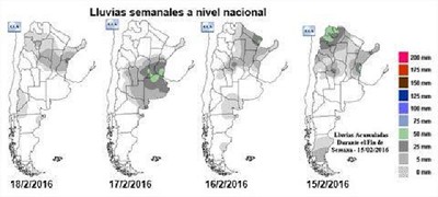 La soja remonta con las lluvias - GEA - BCR