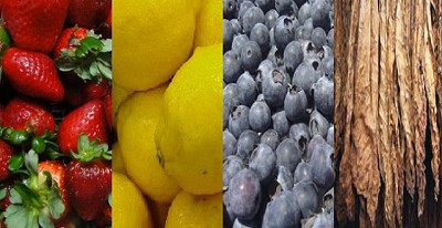 Impulsan las economías populares rurales y urbanas de Jujuy