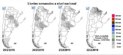 Sojas revitalizadas, caminos lamentables - GEA - BCR