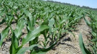 Se termino la racha alcista?, por Pablo Adreani