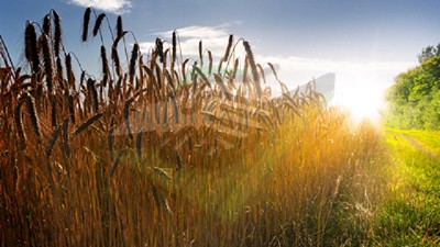 Clima: semana inestable y con cielos cubiertos - Agrositio