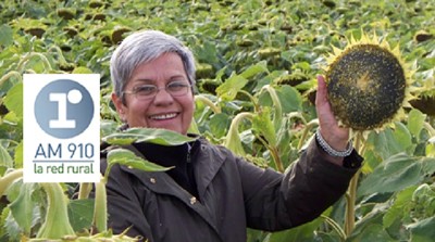 Radio: Una fitomejoradora que desarrolló más de 100 cultivares de girasol; con A. Bertero