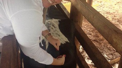 Elanco lanza IMRESTOR®