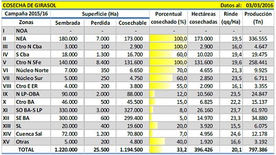 La Soja con mejor oferta hídrica en un momento clave