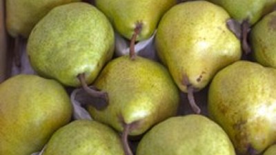 Se destinarán 150 Millones de pesos en créditos blandos para productores de peras y manzanas