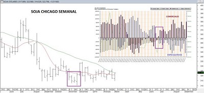 Los Fondos Especulativos vendidos en Soja ¿Pero perdiendo…?, por Ruben Ullua