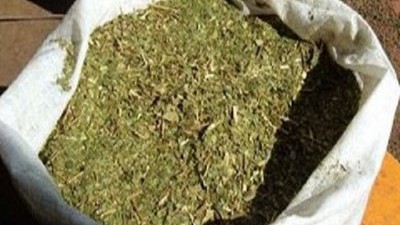 Novedosas ofertas en yerbas y hiervas naturales en el Mercado Concentrador de Posadas