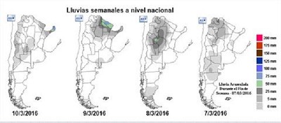 Se esperan promedios de 38 quintales en soja de primera - GEA - BCR