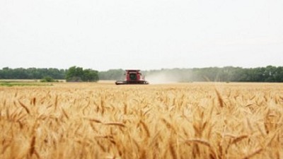 Entre la leche y las semillas, un Estado que dice presente