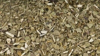 La yerba mate argentina recibió el reconocimiento de su Indicación Geográfica