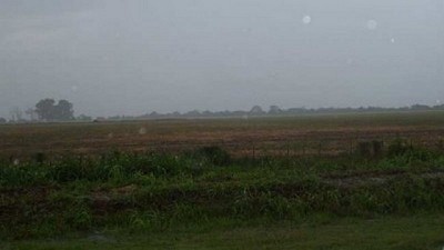 Clima: vuelven las lluvias y cambia el ambiente – Agrositio