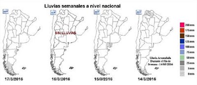 Comenzó la cosecha de soja con 10 qq/ha menos que hace un año - GEA - BCR