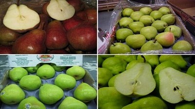 Exportación de manzanas, peras y membrillos argentinos a Brasil