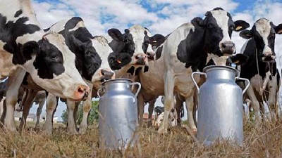 Tamberos de tandil reparten leche en Ruta 226 y Lester