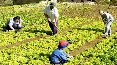 Chaco y Nación potenciarán el arraigo a la ‪Agricultura Familiar‬ 