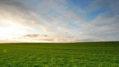 Ley de humedales en la agenda ambiental del Senado