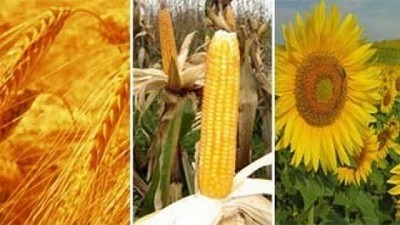 El USDA atrae todas las miradas