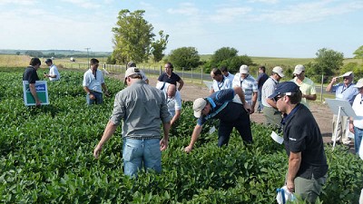 Tecnología pura sangre para Entre Ríos