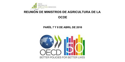 Buryaile participará de la Reunión de Ministros de la OCDE en París