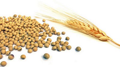 La puja por la mercadería disponible elevó los precios del maíz y de la soja