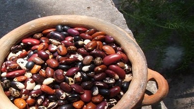 Cambio de Autoridades en la Cámara de Legumbres de la República Argentina
