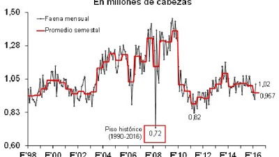 CICCRA: La producción de carne vacuna de marzo resultó 5% menor que hace un año
