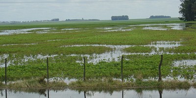 Inundaciones: Estado de situación del Litoral y norte de Zona Núcleo
