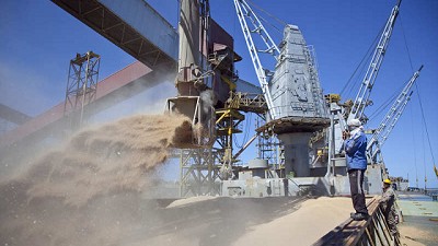 Se habilita el registro de ventas al exterior para operaciones de la cosecha futura