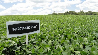 Bolsatech, una opción para evitar retenciones en SOJA “INTACTA”