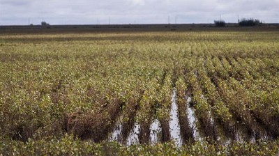 Volvió a llover en Santa Fe y evalúan que las pérdidas de la producción treparán a 2.500 millones de dólares