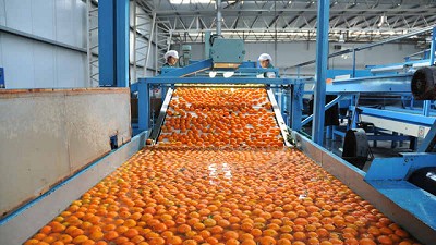 Curso de Formación de Implementadores de Buenas Prácticas Agrícolas (BPA) aplicadas a la cadena frutihortícola