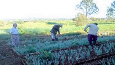 Primer curso sobre uso de plaguicidas destinado a docentes