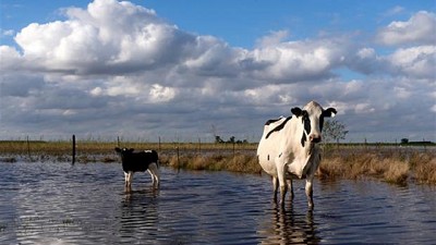Inundaciones: crecen las pérdidas productivas y económicas