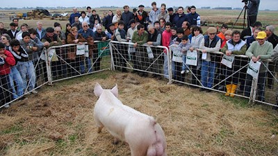 En Daireaux, el agregado de valor es más que palabras